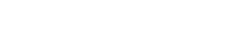 Freestyle wordmark in white