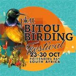 Bitou Birding Festival 2026: Slow Down, Look Up, Reconnect poster
